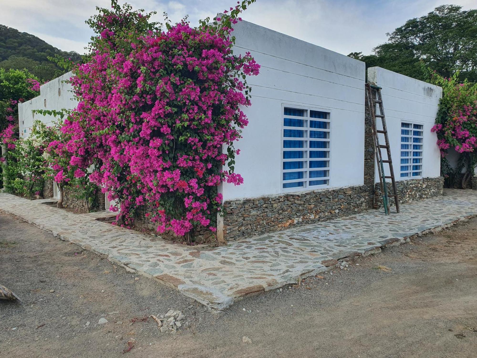 Hotel Tayrona Bahia Concha Eksteriør billede